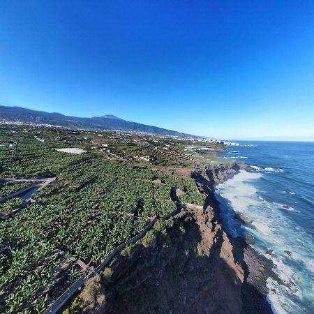 Banana Paradise La Orotava Dış mekan fotoğraf