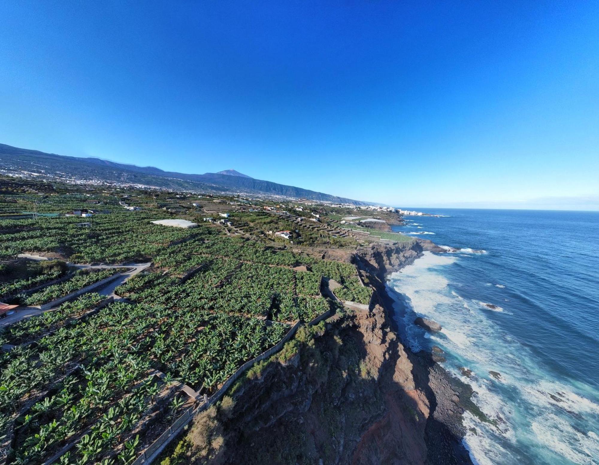 Banana Paradise La Orotava Dış mekan fotoğraf