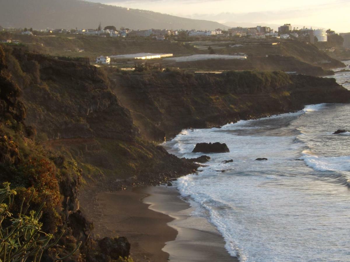 Banana Paradise La Orotava Dış mekan fotoğraf