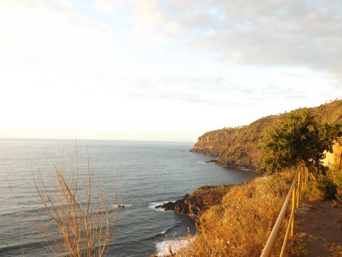 Banana Paradise La Orotava Dış mekan fotoğraf