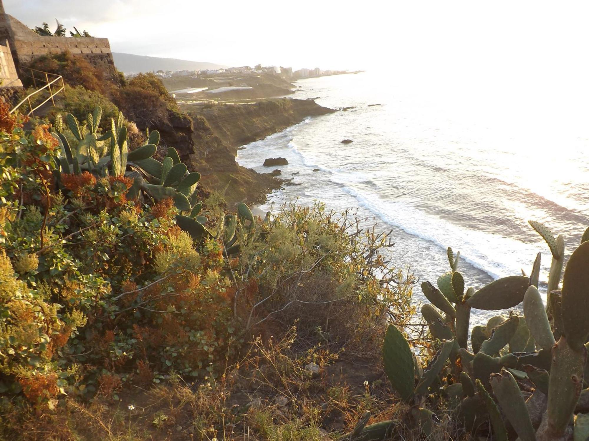 Banana Paradise La Orotava Dış mekan fotoğraf